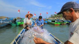 Foto: Istimewa/PT Timah