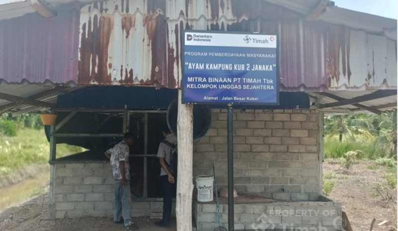 Kelompok Unggas Sejahtera di Desa Sawang Laut Kobel, Kecamatan Kundur Barat. (Foto: Istimewa/Dok. PT Timah)