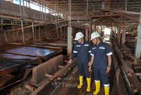 PT Timah Tbk berhasil membukukan laba bersih sebesar Rp1,31 triliun tahun buku 2025. Foto: Istimewa/Dok. PT Timah Tbk