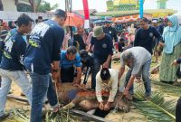 Masjid Jami' Al Falah Kp Melayu, Kelurahan Balai Kota, peserta kurban 8 sapi, 10 kambing.
