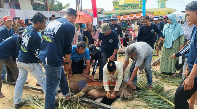 Masjid Jami' Al Falah Kp Melayu, Kelurahan Balai Kota, peserta kurban 8 sapi, 10 kambing.