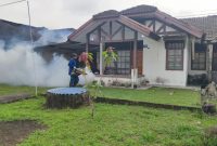 Foto: Dok. PT Timah Tbk