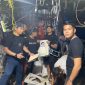 Polsek Kundur Gerak Cepat Meringkus pelaku pencurian di Tanjung Batu Barat.